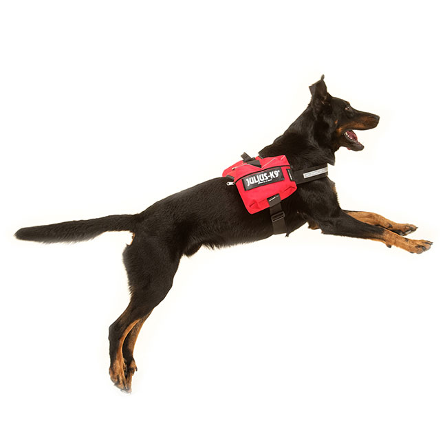 Dog harness accessories Julius-K9®