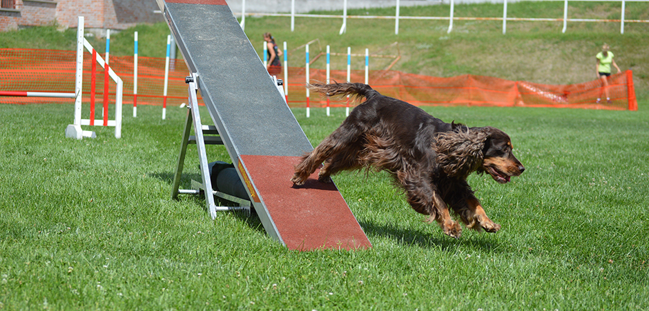 agility1