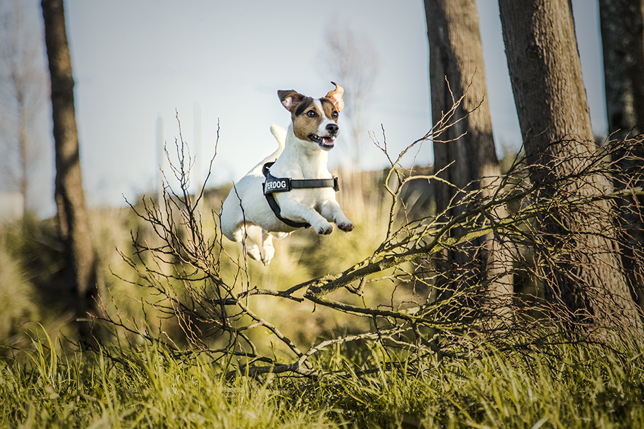 Tavasz, kirándulás, veszélyek