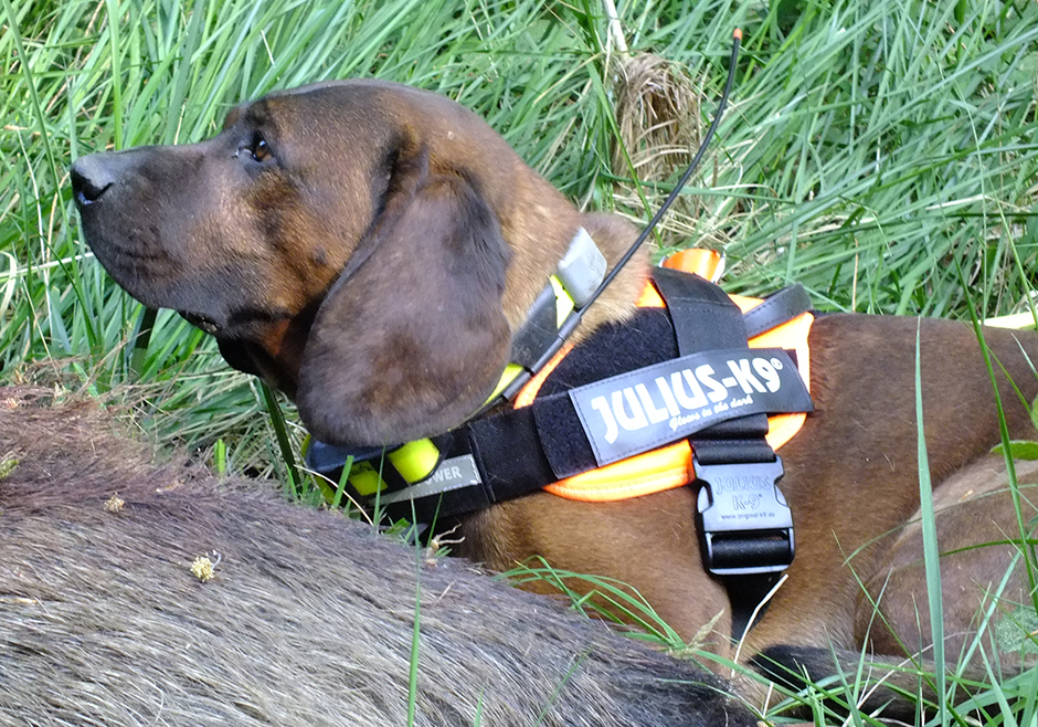 Feedback von Bernhard Weier