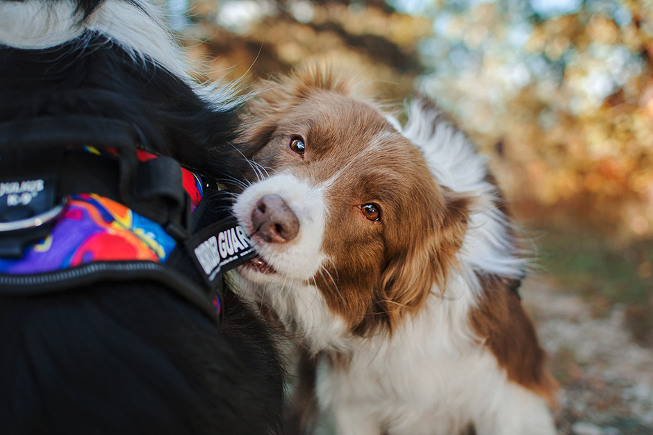 Replaceable side labels