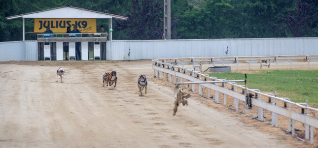 JULIUS-K9® IDC® Powerhám futás teszt