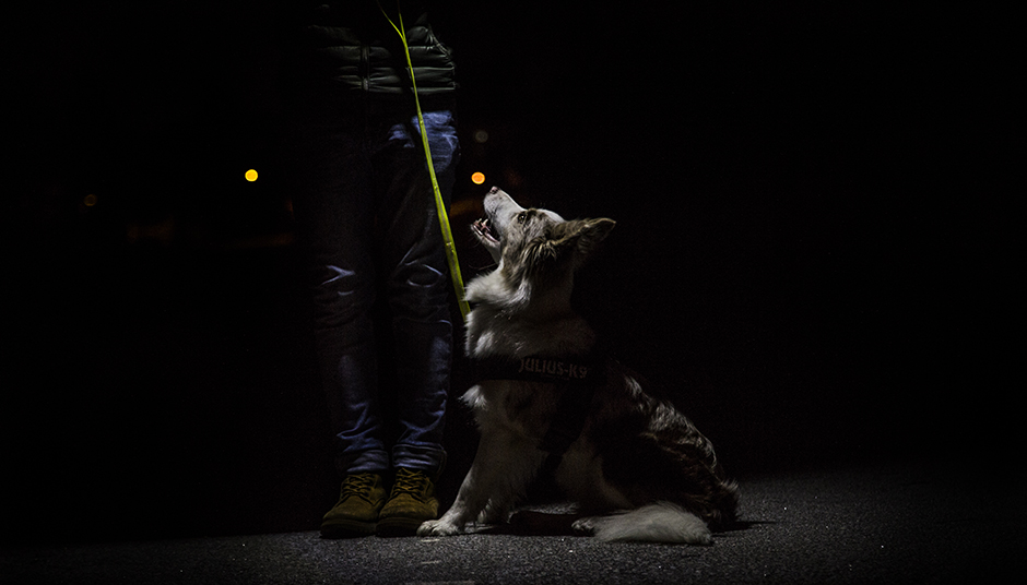 Ne kategorizálj! Ne kategorizálj!