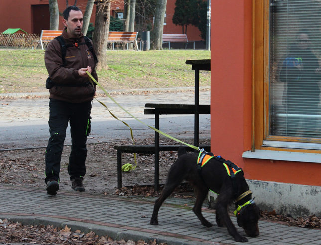 Julius-K9 mantrailing kutyahám