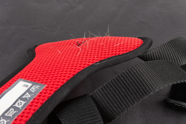 A kutyahámot bélelni kell