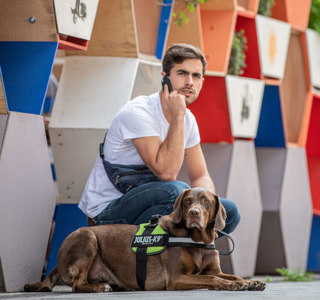 hundegeschirr-vergleich