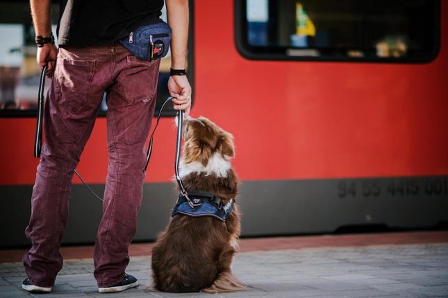 IDC® Powerharness Julius-K9®