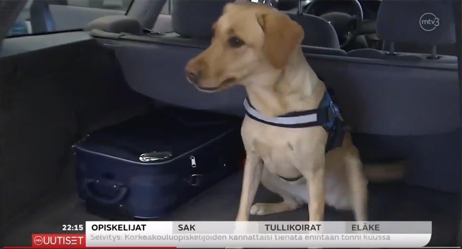 A finn vámosok is előszeretettel használják a JULIUS-K9® felszereléseket munkájuk során.