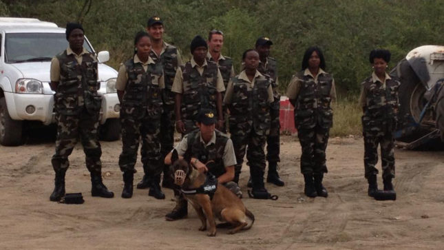 Kutyás cég az orrszarvúkért