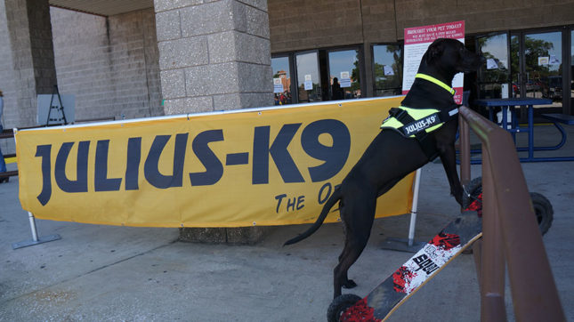 Julius-K9 az USA-ban