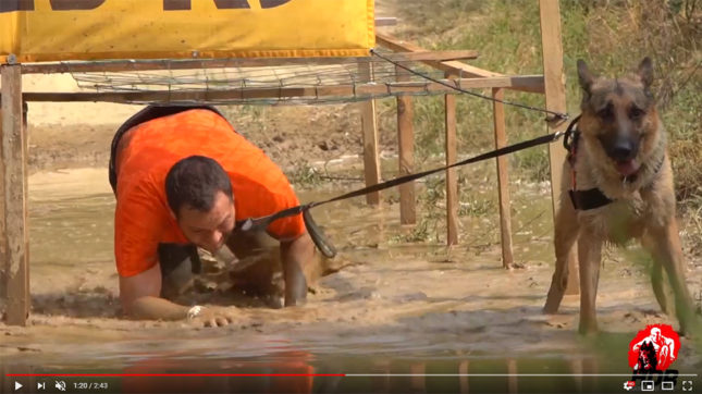 What Do Dogs Teach Us?