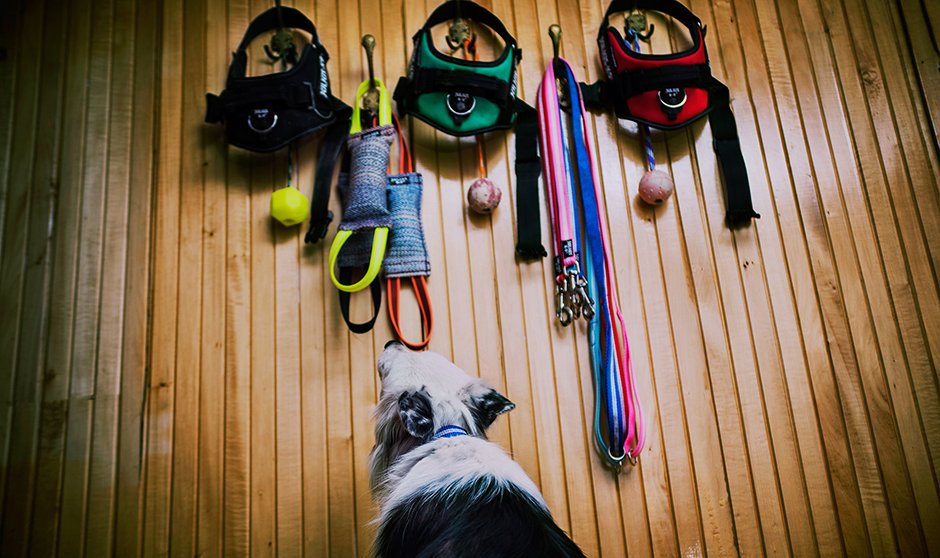 There’s No Such Thing as Enough Toys There’s No Such Thing as Enough Toys