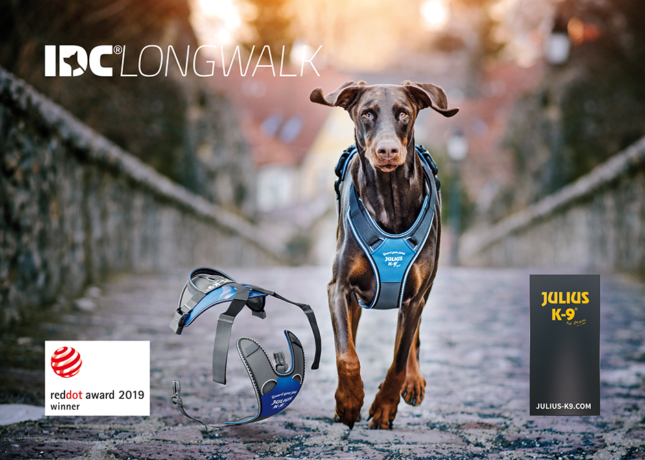 Red Dot Award – A Hungarian dog harness has the best design Red Dot Award - A Hungarian dog harness has the best design