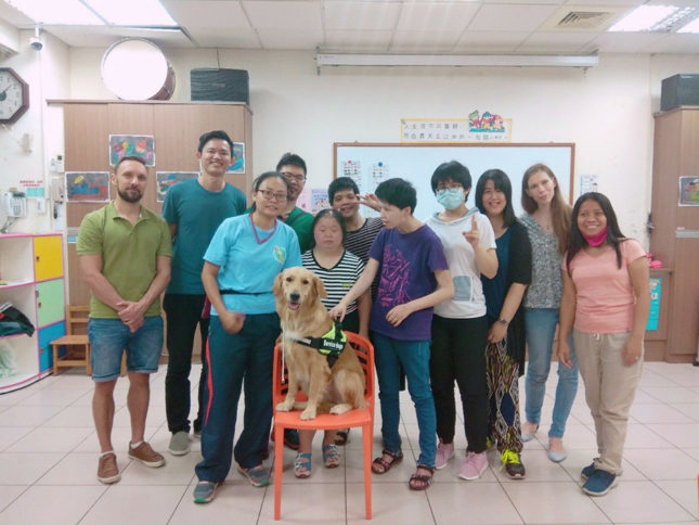 Ellie, a szolgálati kutya Ellie, a szolgálati kutya