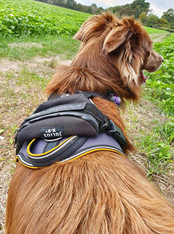 Longwalk mit GPS