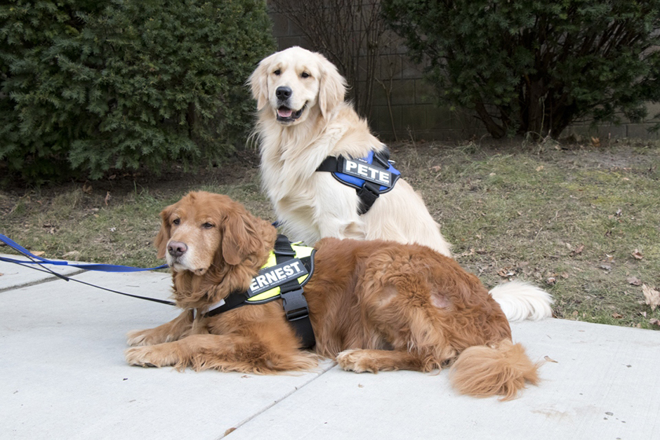 julius k9 front control