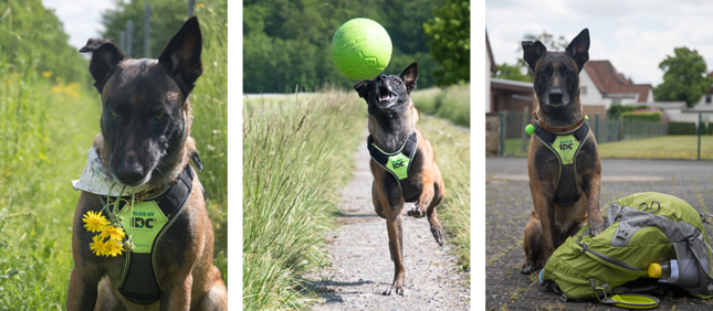 Anika, Feeby und die langen Wanderungen