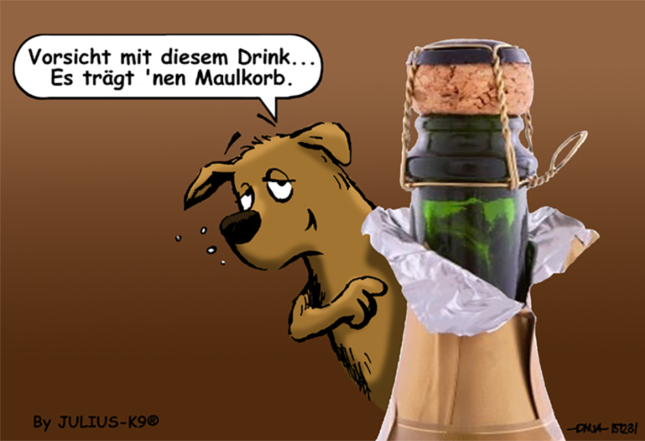 Wie können wir unseren Hund an das Feuerwerk gewöhnen?