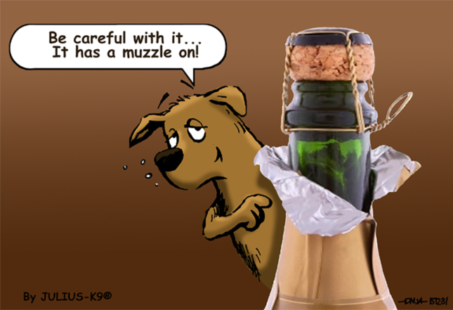 How to get your dog accustomed to fireworks