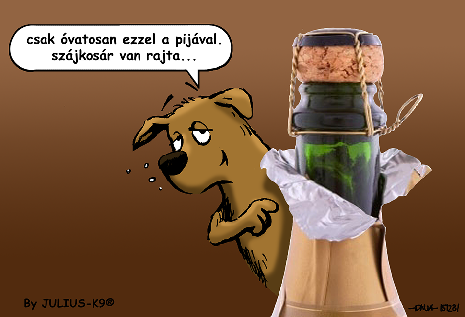 Hogyan szoktassuk hozzá kutyánkat a tűzijátékhoz?