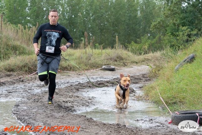 Kíméletlen teszt alatt a HDR kutyahám