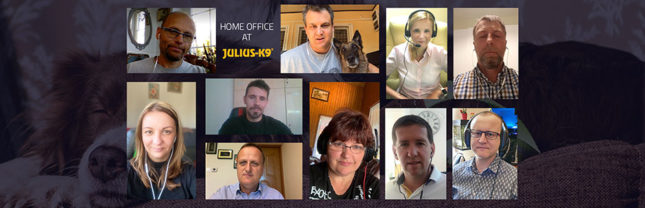 A little bird told me the crisis is over