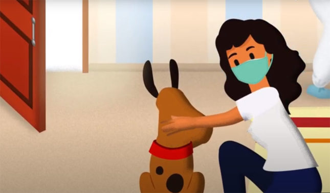 Take care of your pet during the pandemic