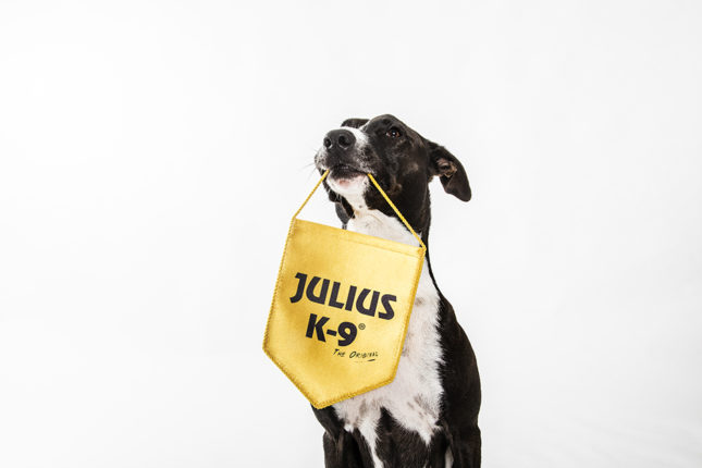 Fake product sellers get caught on Facebook too