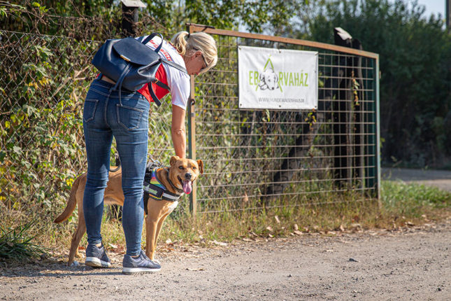 ebarvahaz-tartosteszt-de