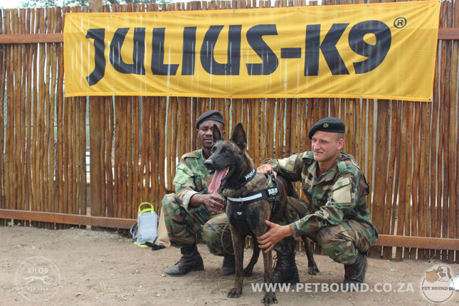 JK9® is helping to protect endangered rhinos in Africa