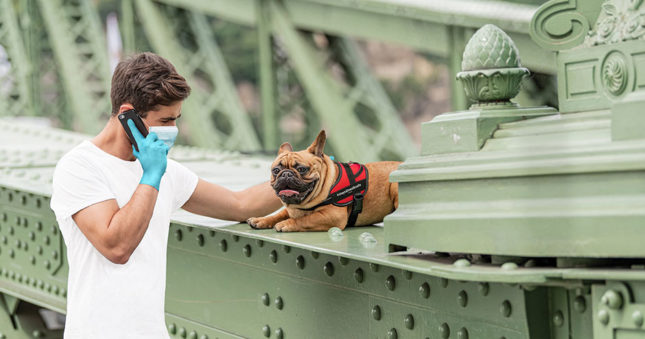 #staysafewalksafe – Gift harnesses for hygienic walks #staysafewalksafe – Gift harnesses for hygienic walks