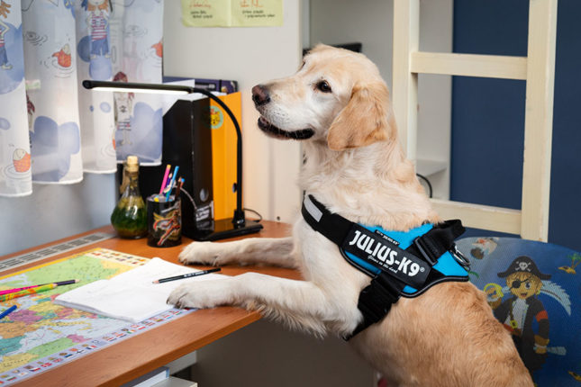 A nehéz időkben is támogatjuk gyermekes munkavállalóinkat
