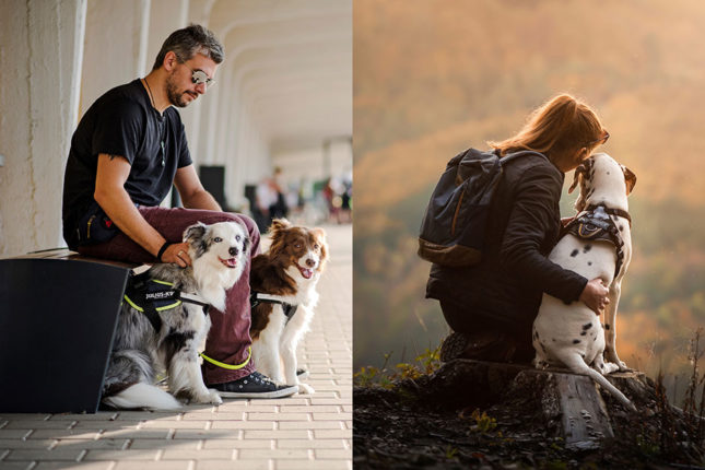 How to choose the right harness for the right activity?