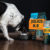 Premium dog food for all activities and stages of life