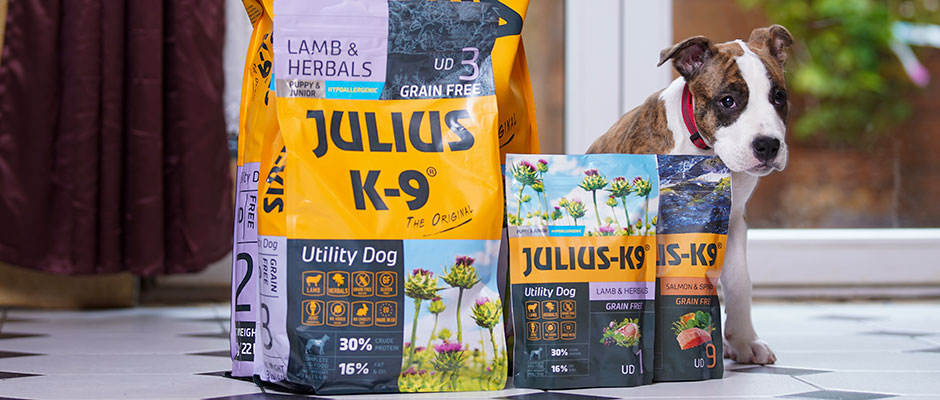Premium dog food