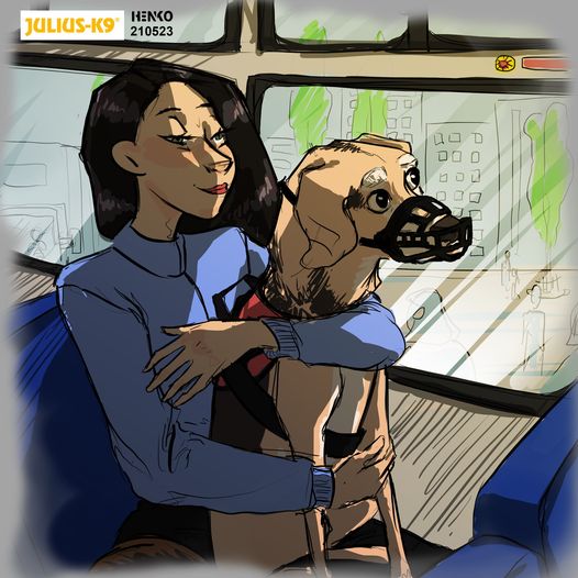 Sometimes it’s good to take the bus