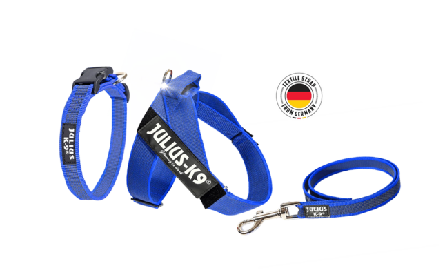 color-gray-collection