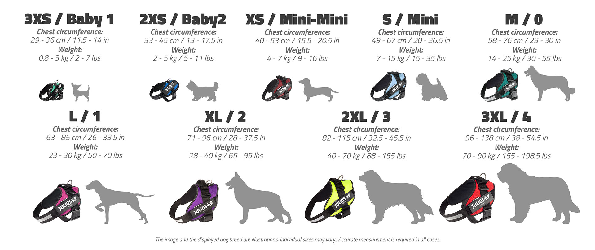 what size julius-k9 harness for french bulldog puppy? 2