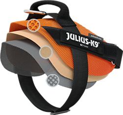 Hundebedarf: Julius K9 16SGA-2 Sicherheitsgurtadapter für Hunde