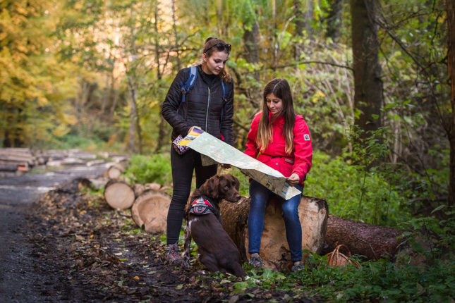 Tervezzünk egy kutyás kiruccanást!