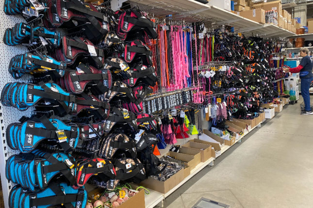 JK9 mintabolt PanziPet