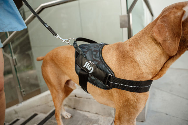 Power&More Harness JK9