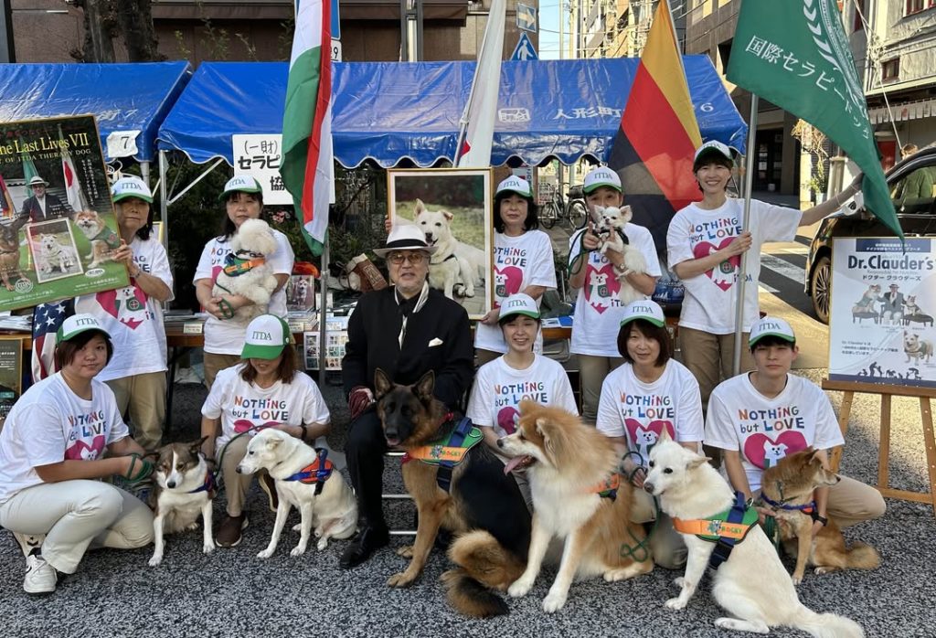 Japanese Therapy Dogs in JK9 Harnesses