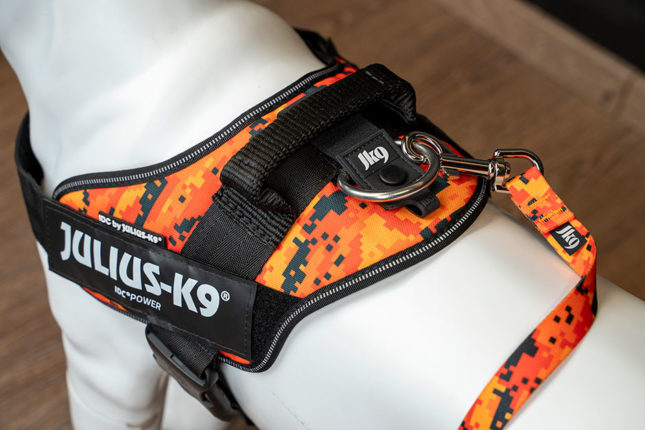 Dog spine protection in the JK9 dog harness