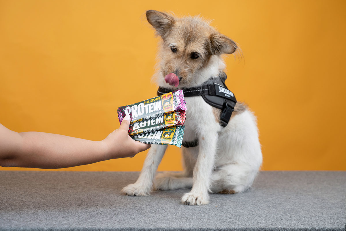 Julius-K9 Protein dessert Slice Julius-K9 Protein dessert Slice