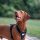 Health-Conscious Dog Harness Development