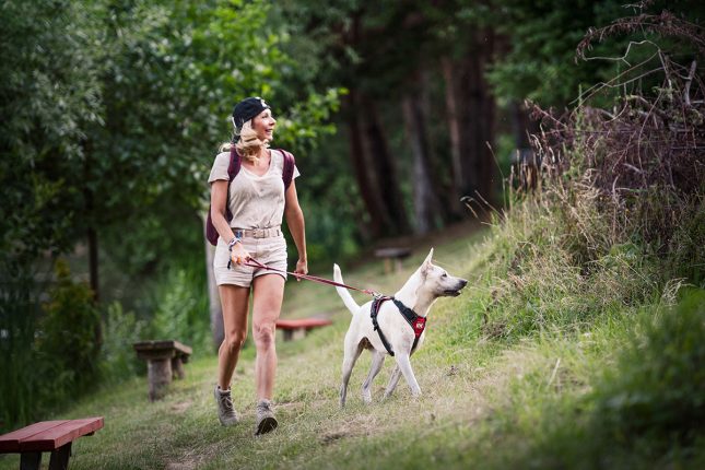 Julius-K9: Dog Health First