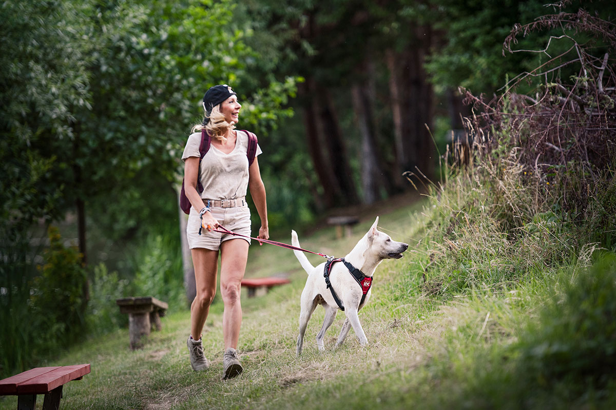 Julius-K9: Dog Health First