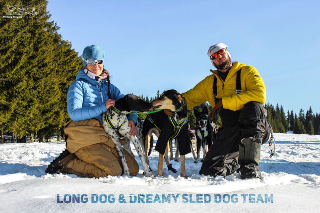 JK9 Dog Food – When You Truly Need Energy